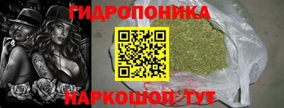 ГАЛЛЮЦИНОГЕННЫЕ ГРИБЫ Заводоуковск