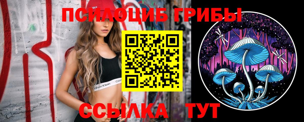 Галлюциногенные грибы Psilocybine cubensis  Вход с VPN  Междуреченск 